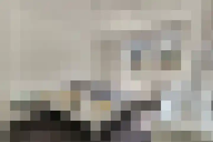 Roojan 2 Ugchelen thumbnail 22