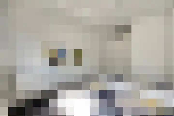 Roojan 2 Ugchelen thumbnail 23