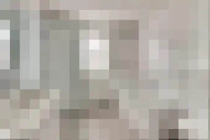 Roojan 2 Ugchelen thumbnail 25