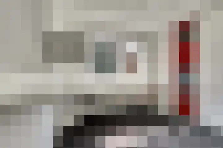 Roojan 2 Ugchelen thumbnail 26