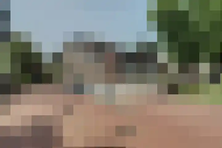 Roojan 2 Ugchelen thumbnail 28