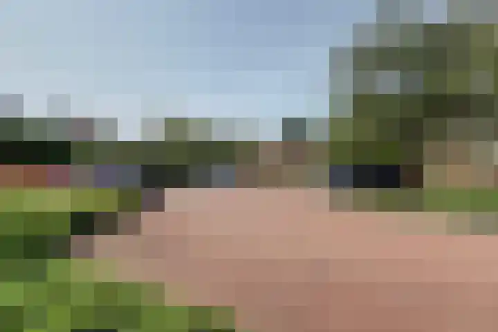 Roojan 2 Ugchelen thumbnail 29