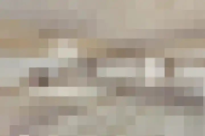 Roojan 2 Ugchelen thumbnail 30