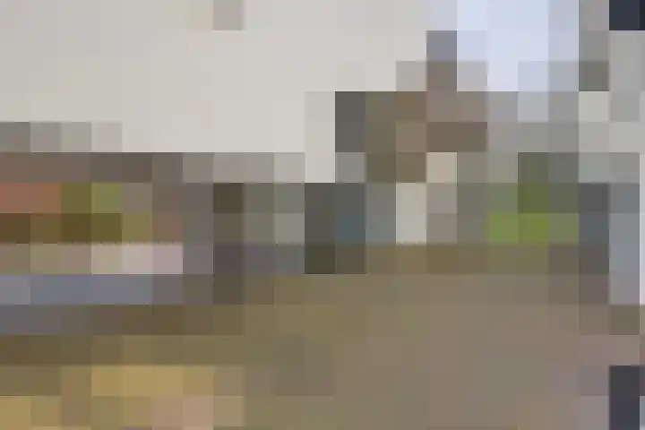 Roojan 2 Ugchelen thumbnail 32