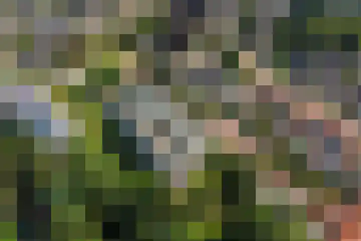 Roojan 2 Ugchelen thumbnail 37