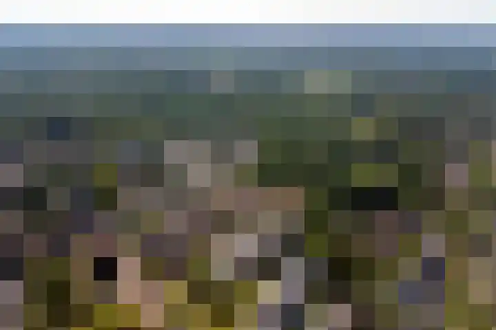Roojan 2 Ugchelen thumbnail 39