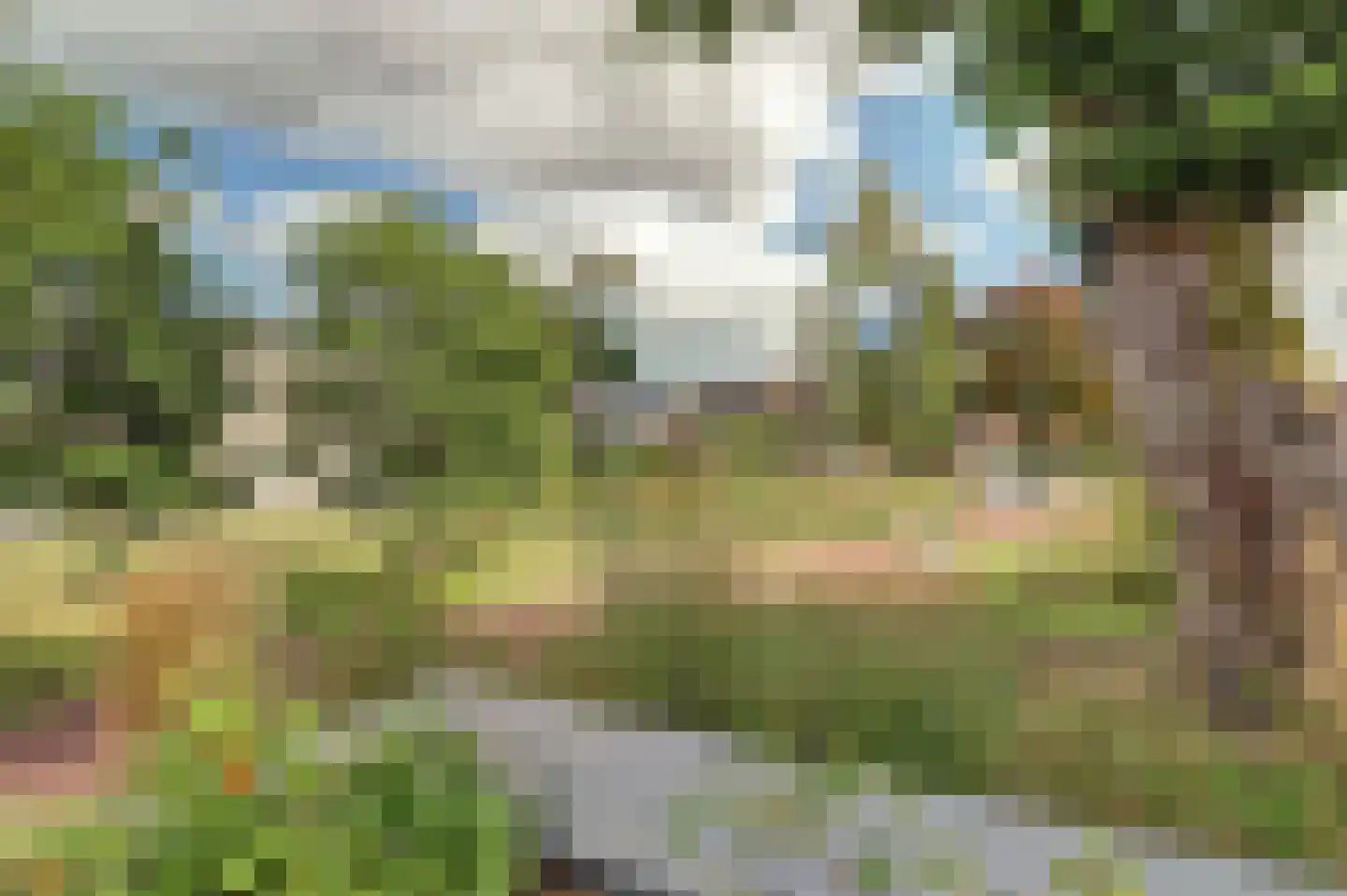 Roojan 4 Ugchelen thumbnail 10