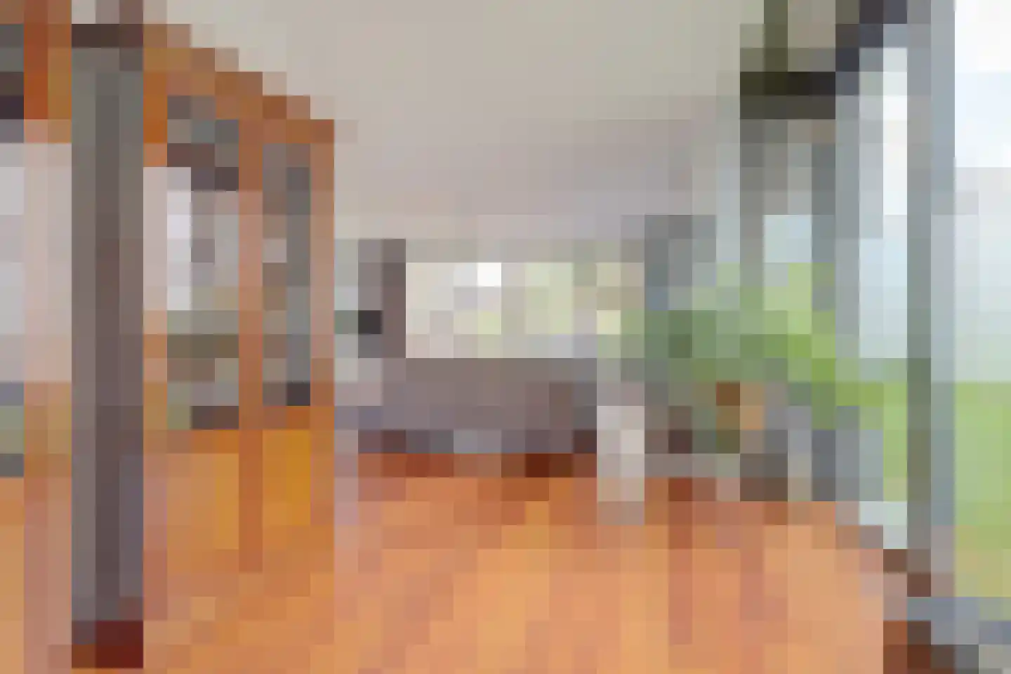 Roojan 4 Ugchelen thumbnail 16