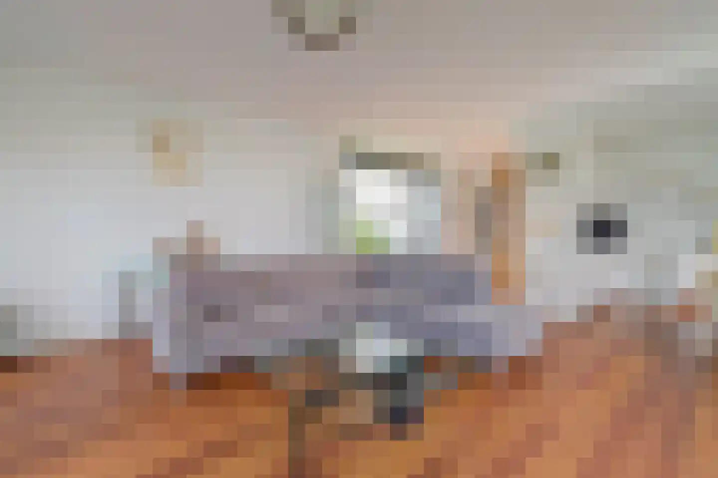 Roojan 4 Ugchelen thumbnail 19