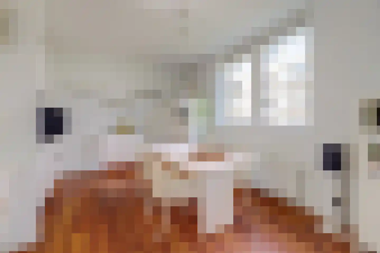 Roojan 4 Ugchelen thumbnail 24