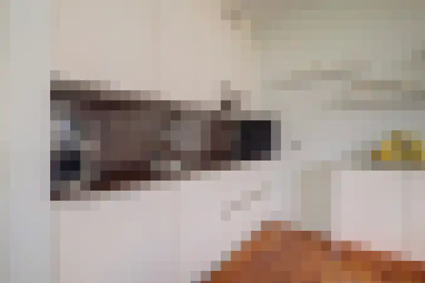 Roojan 4 Ugchelen thumbnail 28
