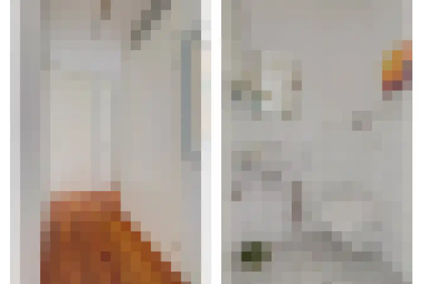 Roojan 4 Ugchelen thumbnail 35