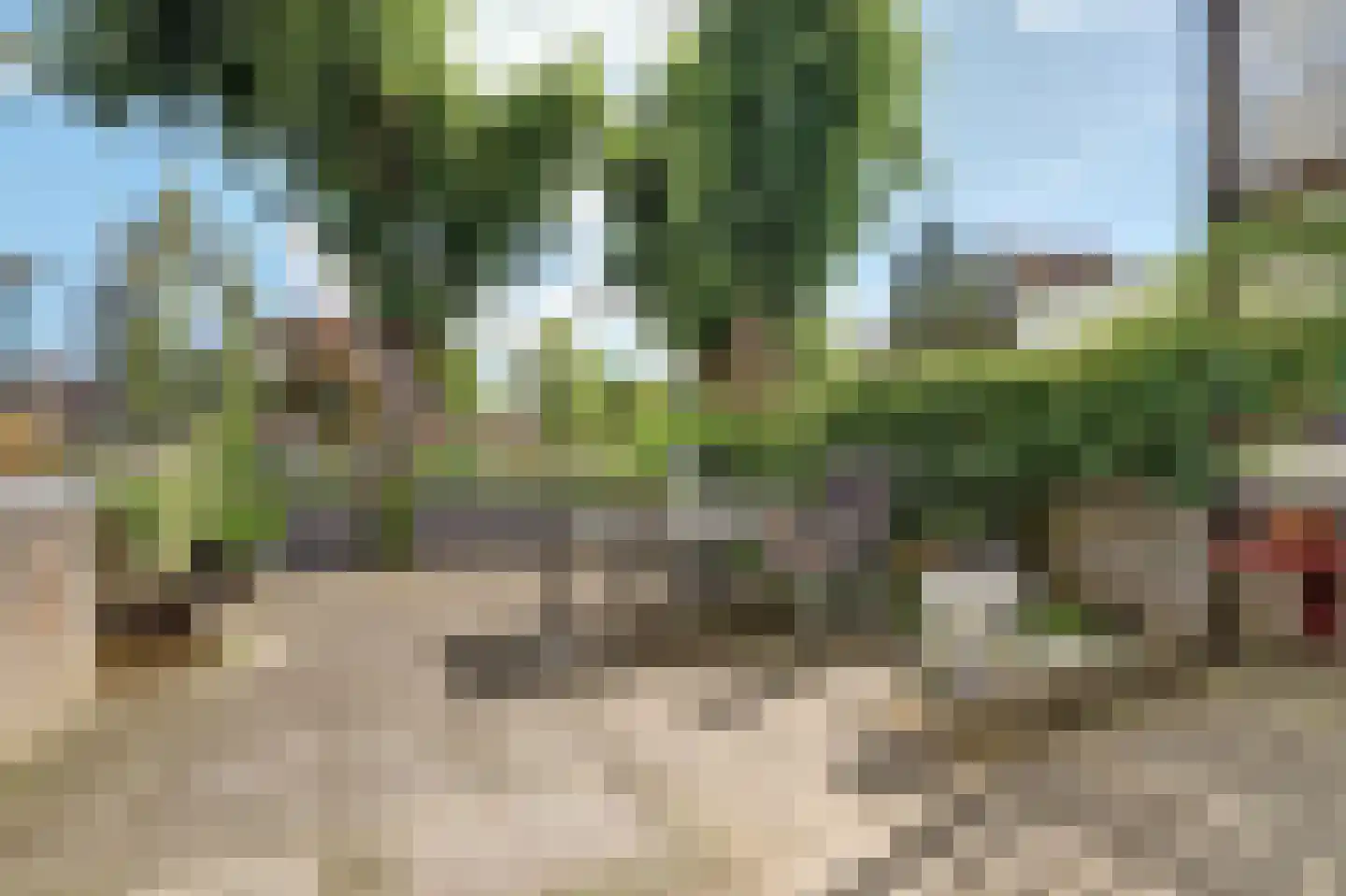 Roojan 4 Ugchelen thumbnail 4