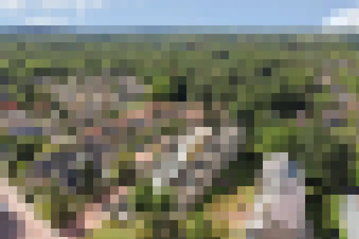 Roojan 4 Ugchelen thumbnail 52