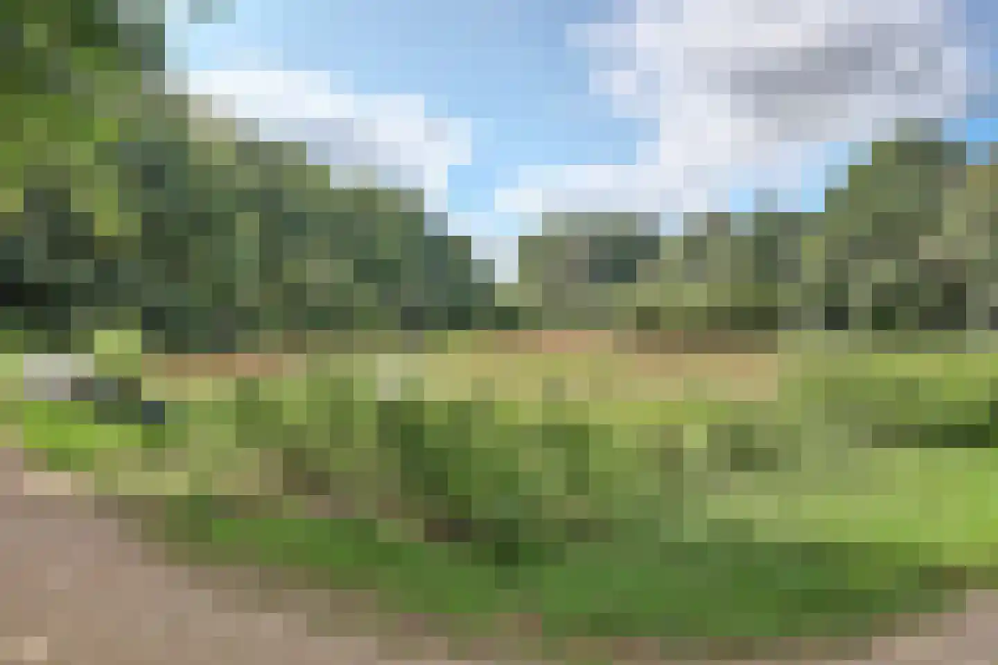 Roojan 4 Ugchelen thumbnail 56