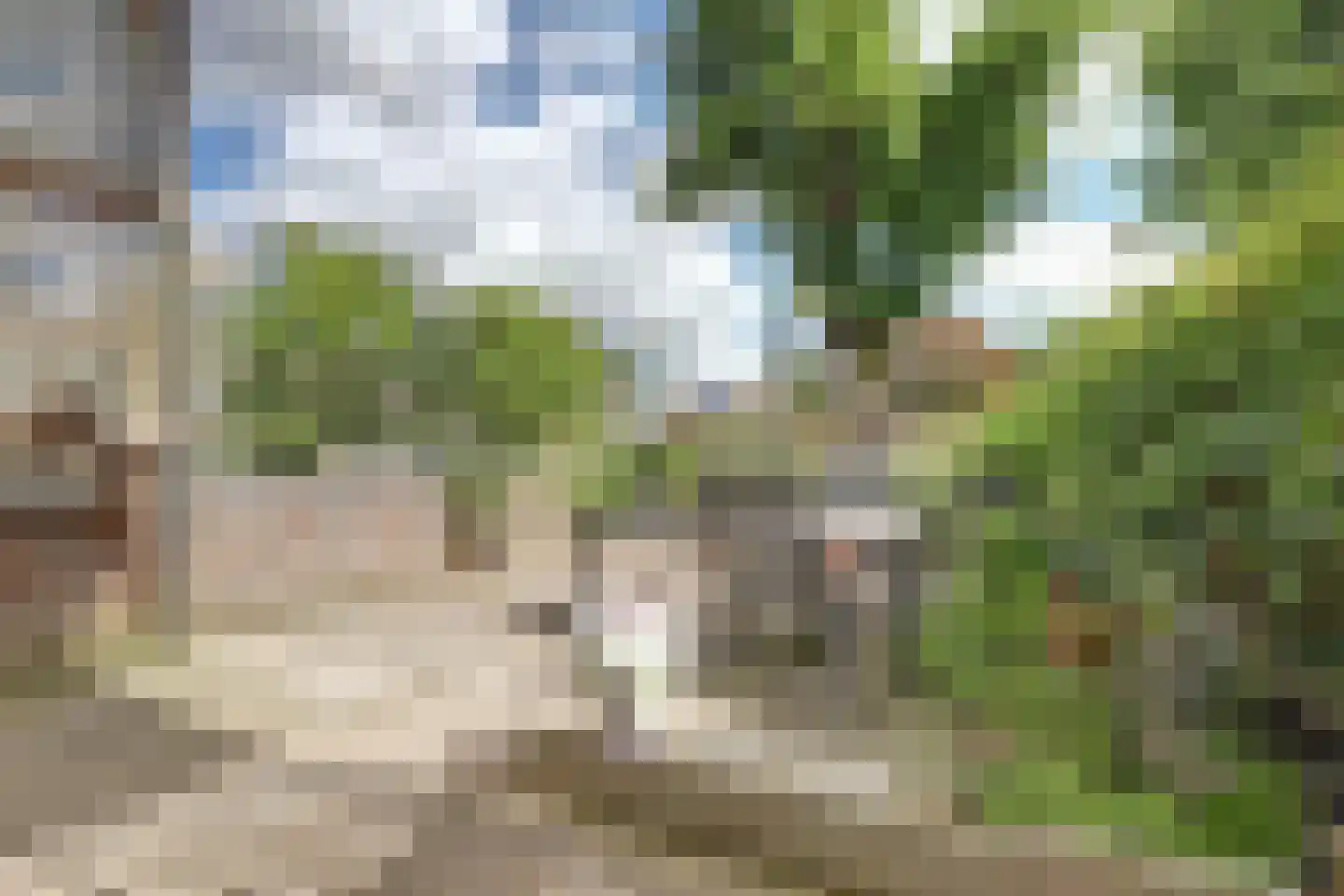 Roojan 4 Ugchelen thumbnail 8