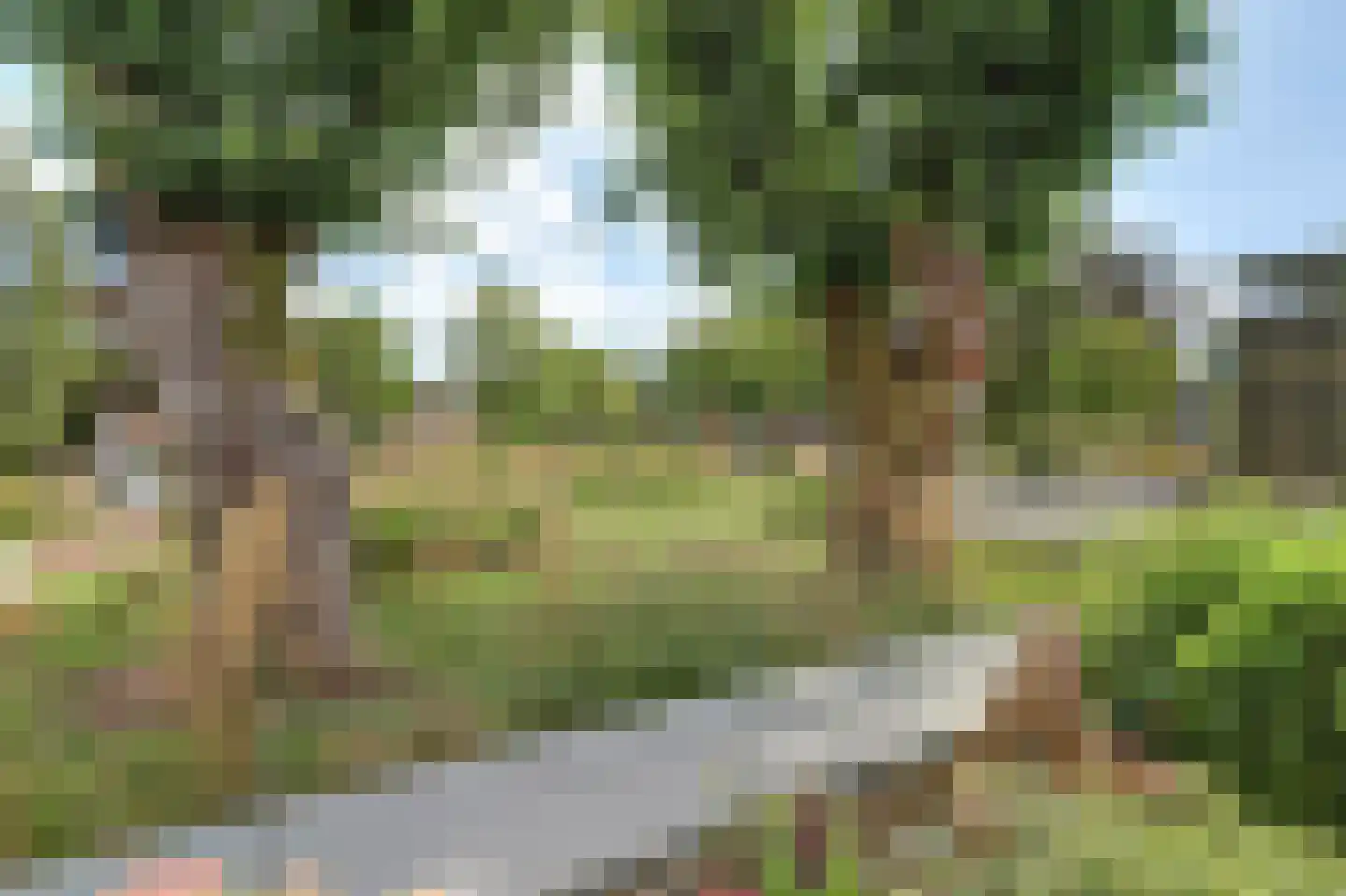 Roojan 4 Ugchelen thumbnail 9