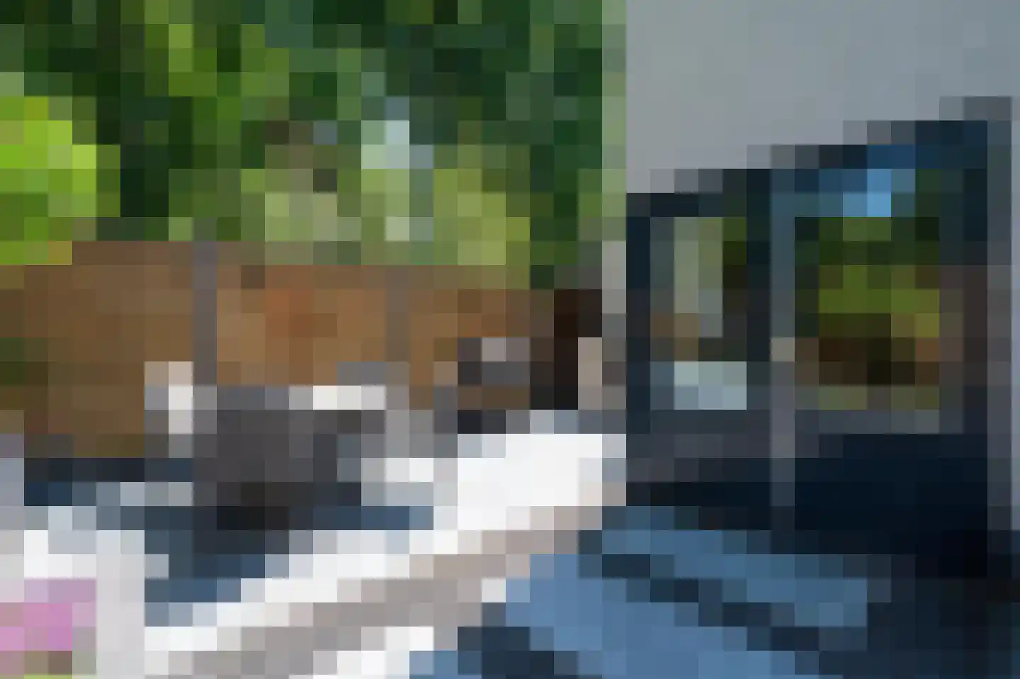 Rookland 18 Ermelo thumbnail 22