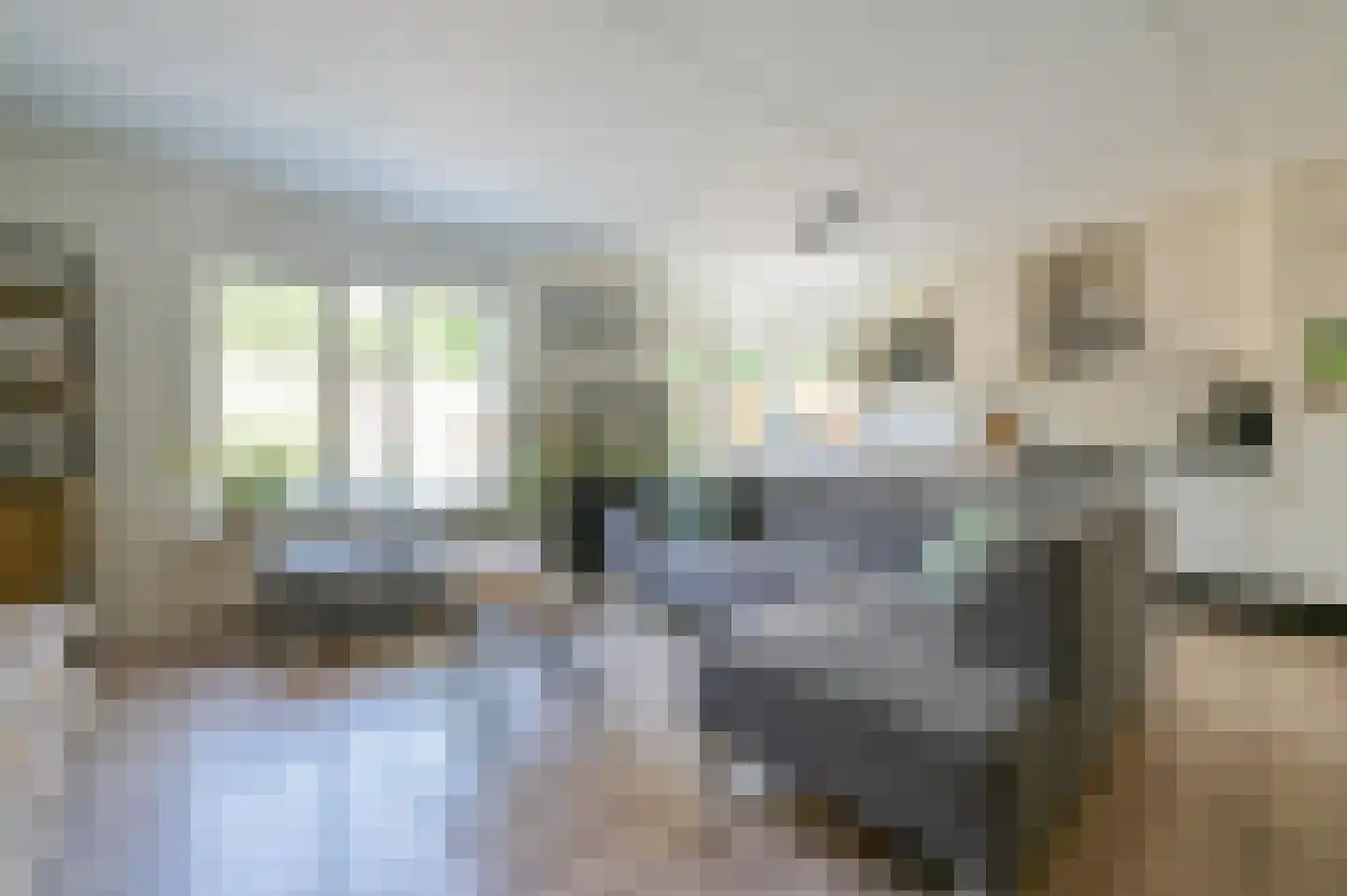 Rookland 18 Ermelo thumbnail 6