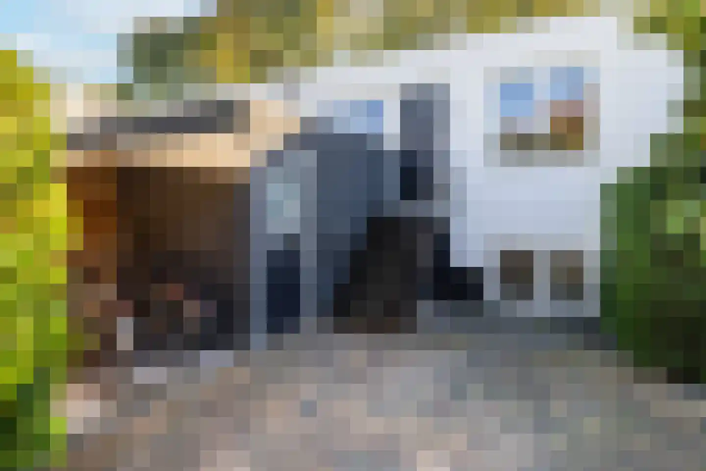 Rookland 6 Ermelo thumbnail 10