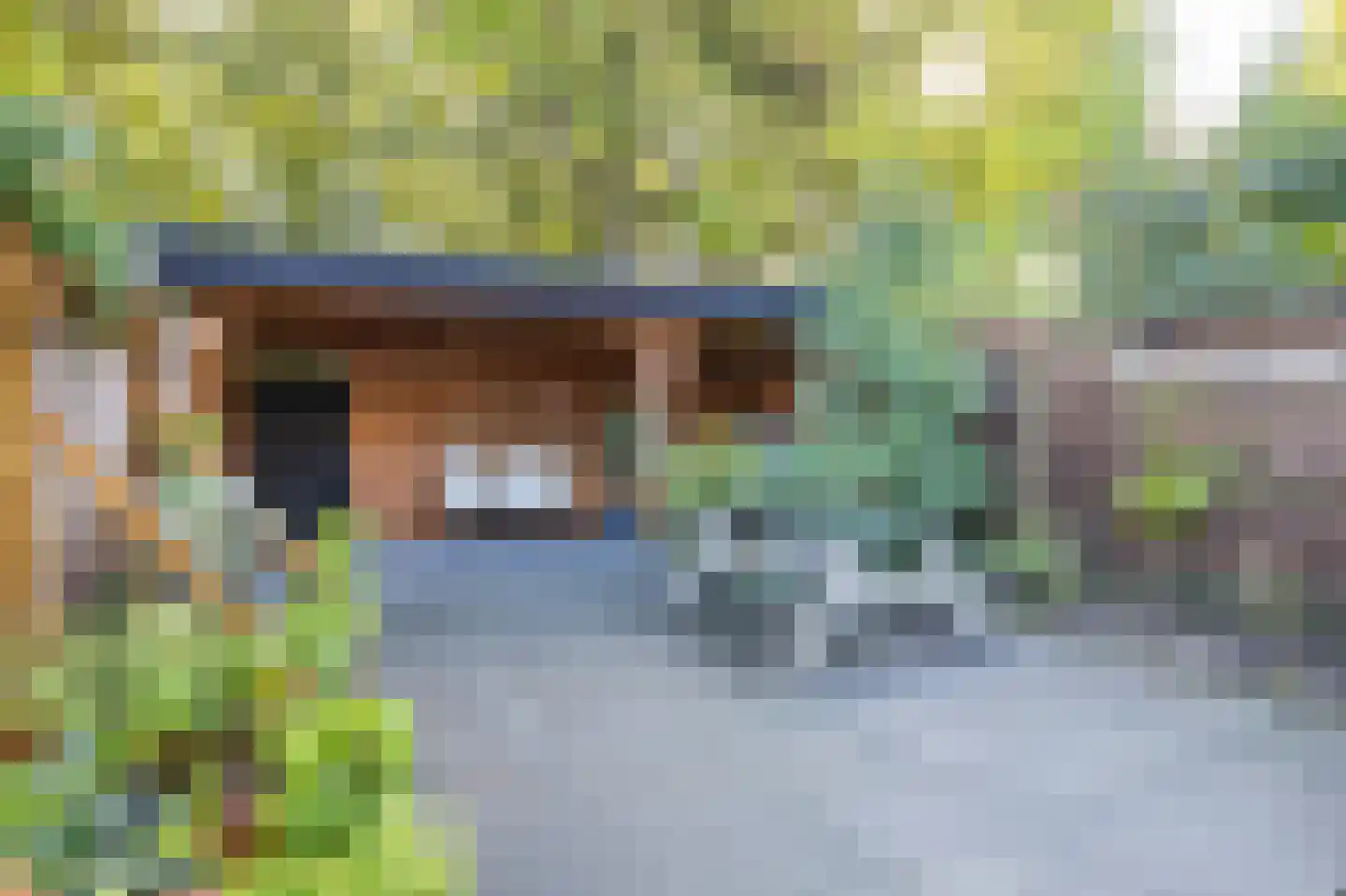 Rookland 6 Ermelo thumbnail 19