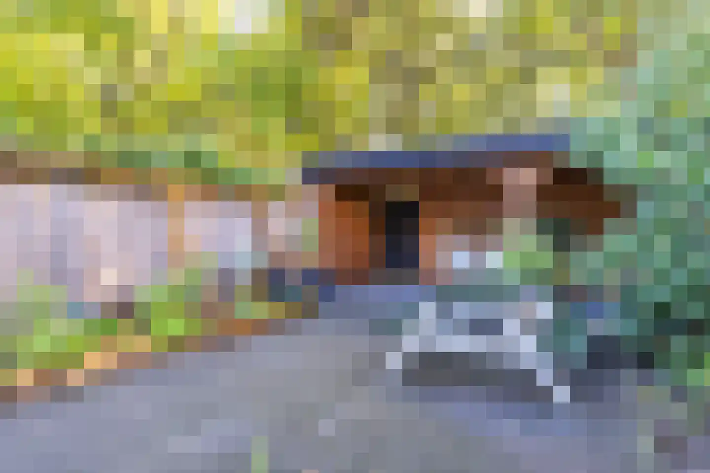 Rookland 6 Ermelo thumbnail 20