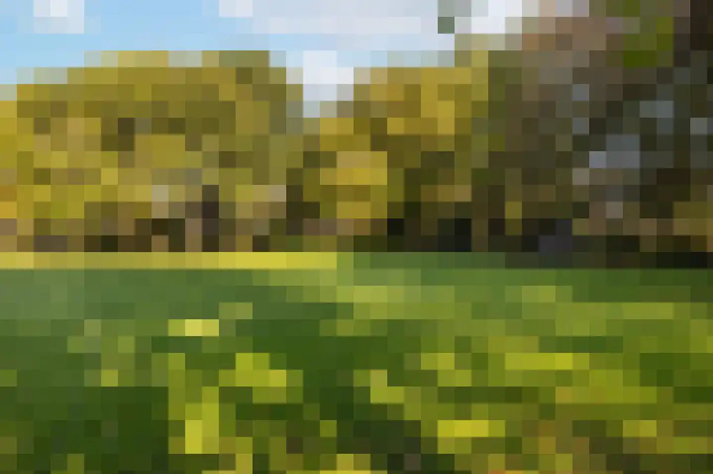 Rookland 6 Ermelo thumbnail 33