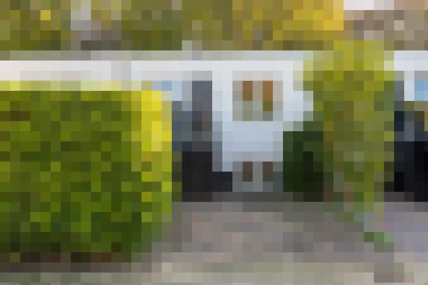 Rookland 6 Ermelo thumbnail 9