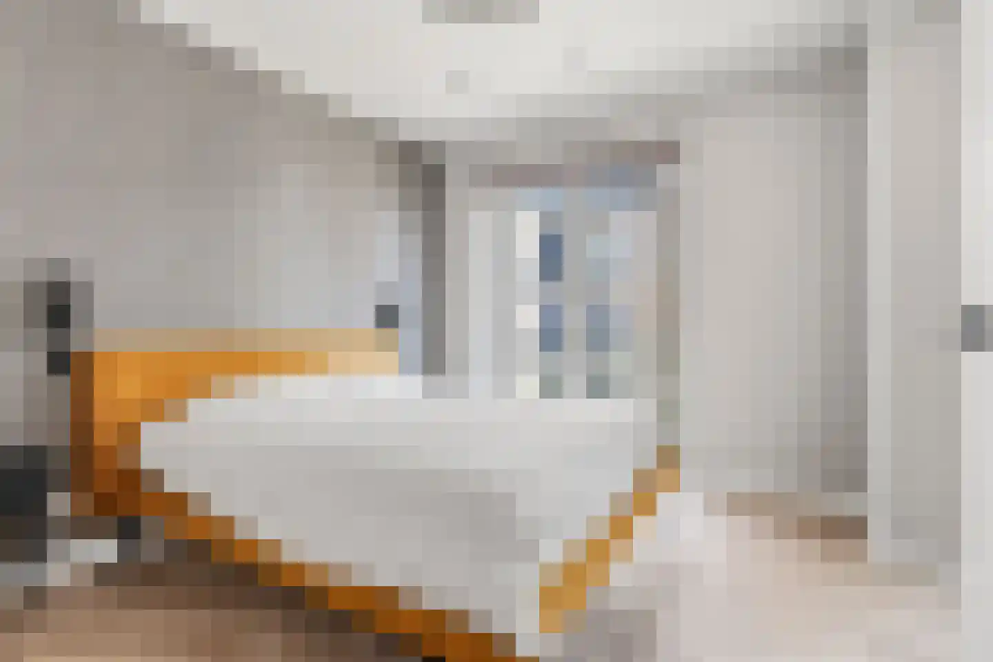 Rookmelderstraat 15 Amsterdam thumbnail 16