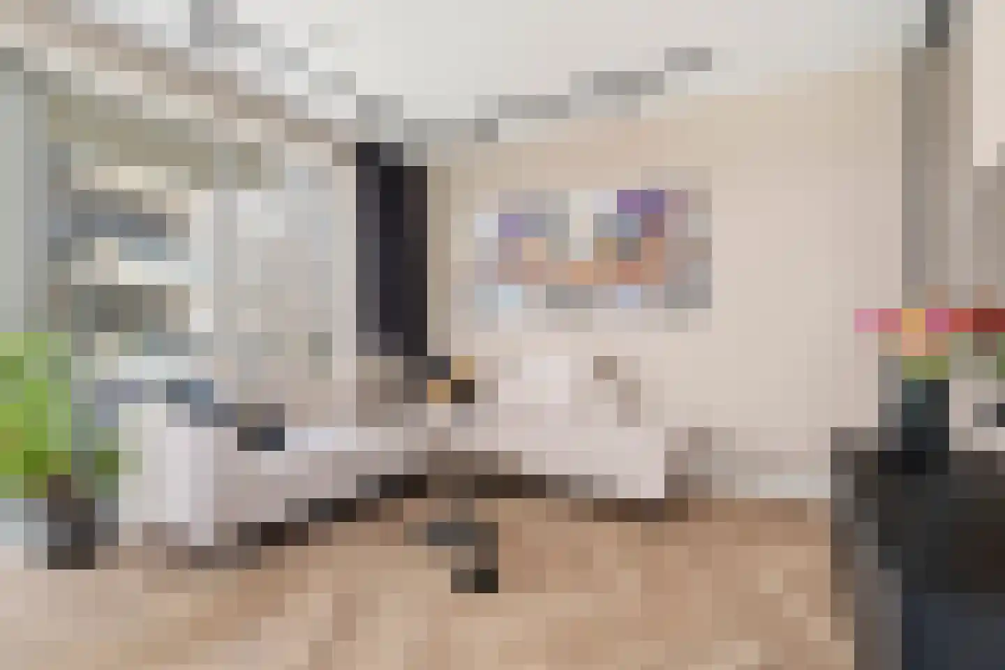 Rookmelderstraat 15 Amsterdam thumbnail 8