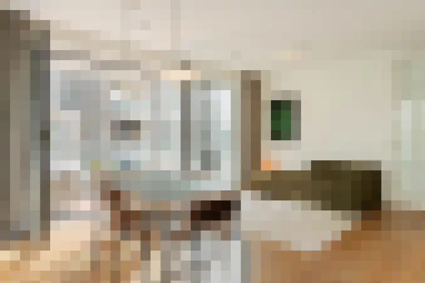 Rookmelderstraat 25 Amsterdam thumbnail 4