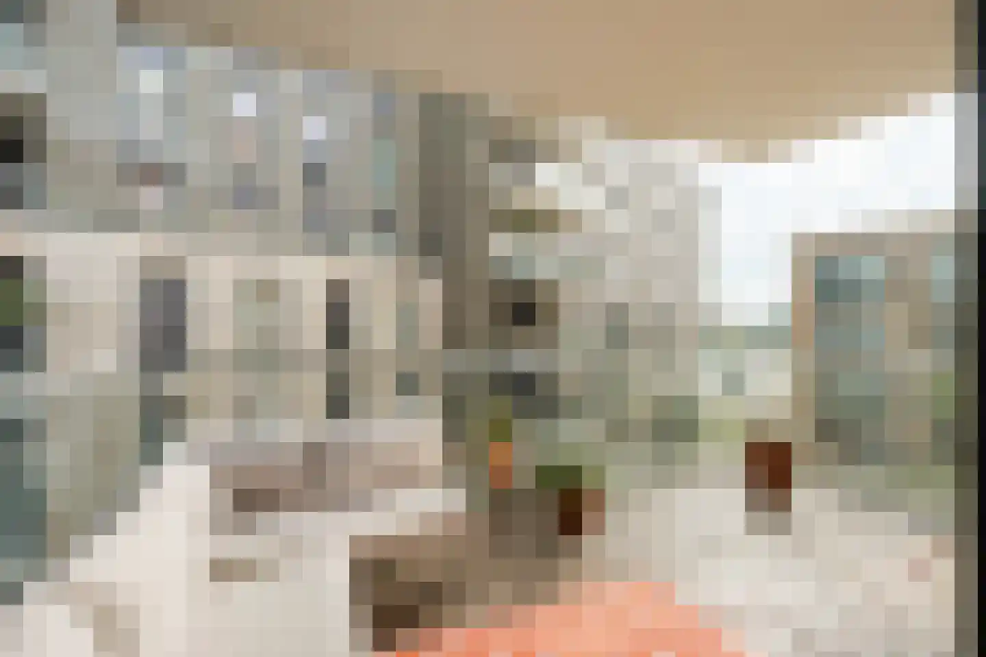 Rookmelderstraat 25 Amsterdam thumbnail 5