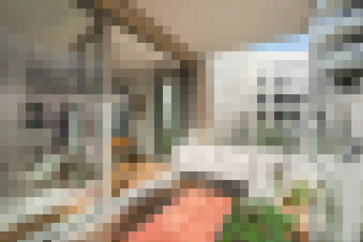Rookmelderstraat 25 Amsterdam thumbnail 7