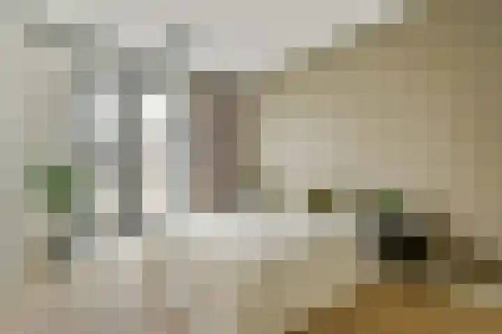 Rookmelderstraat 39 Amsterdam thumbnail 18