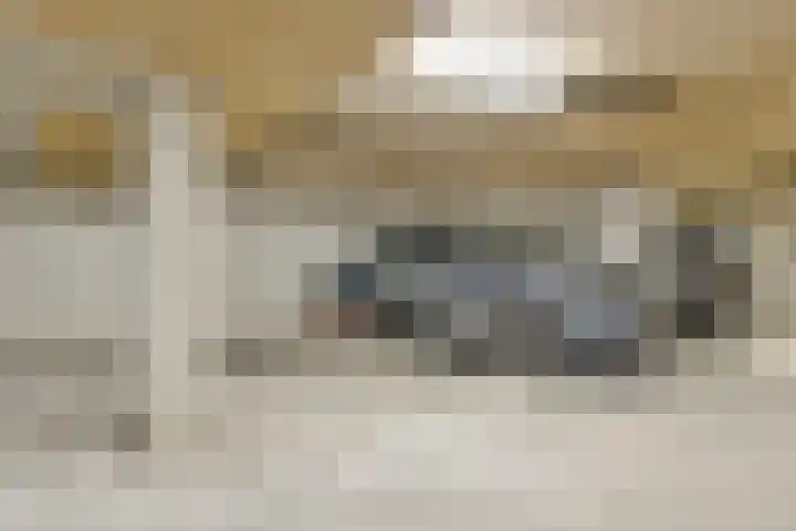 Rookmelderstraat 39 Amsterdam thumbnail 28