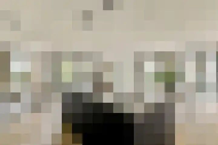 Rookmelderstraat 39 Amsterdam thumbnail 8