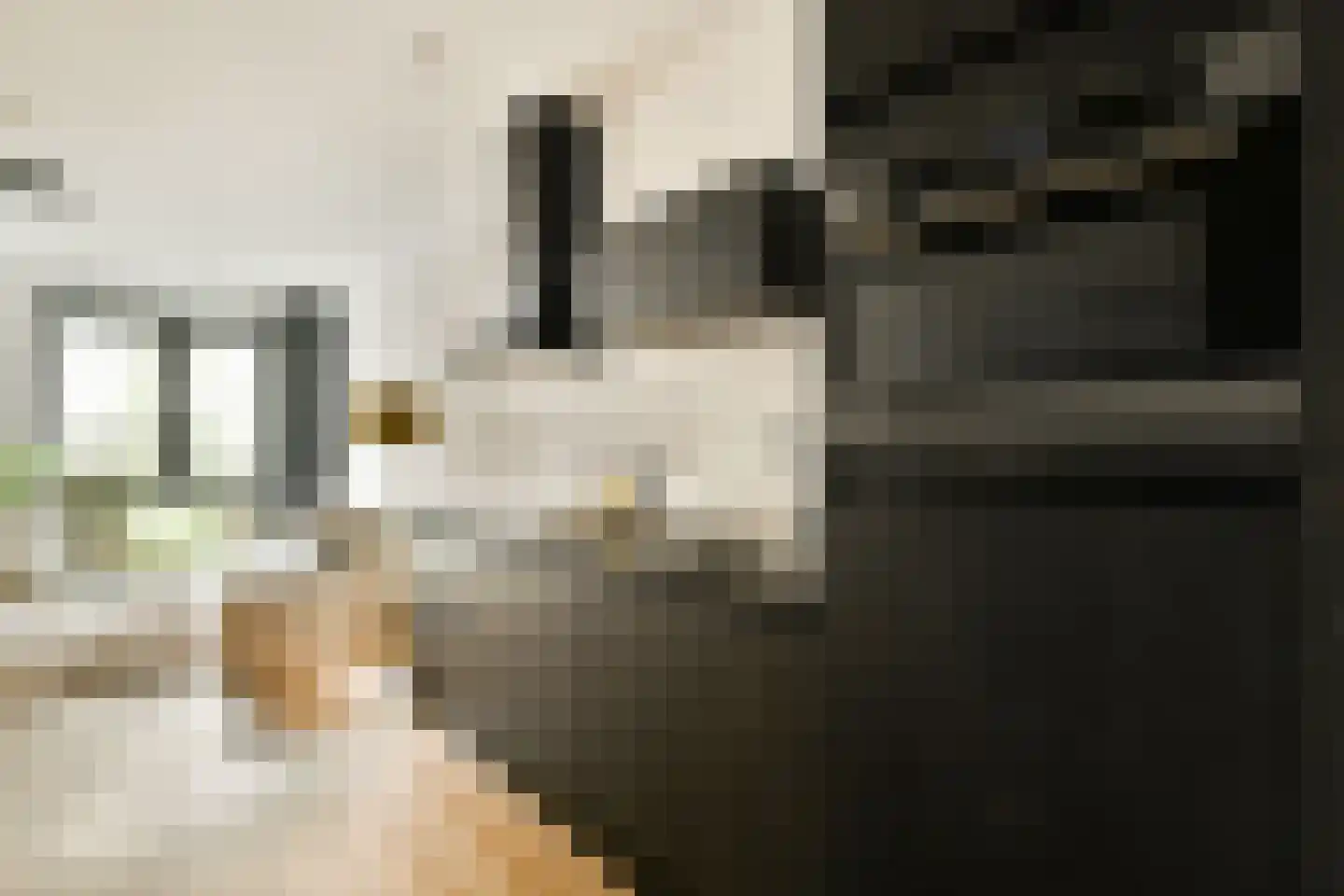 Rookmelderstraat 4 Amsterdam thumbnail 10