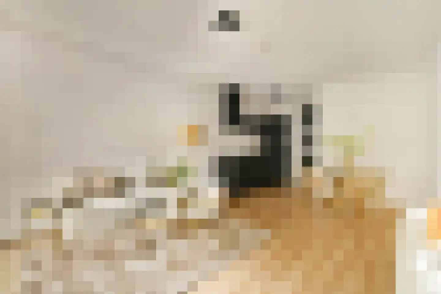 Rookmelderstraat 4 Amsterdam thumbnail 4