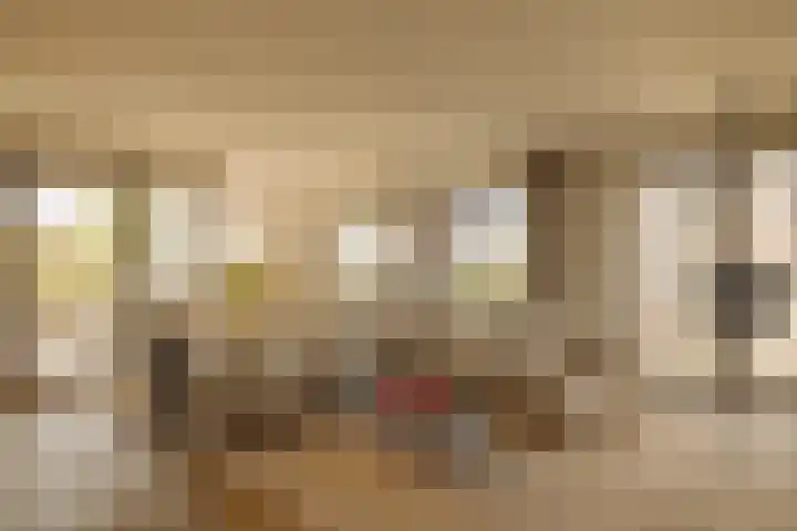 Rookmelderstraat 45 Amsterdam thumbnail 9