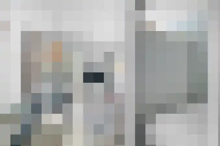 Rookmelderstraat 56 Amsterdam thumbnail 12