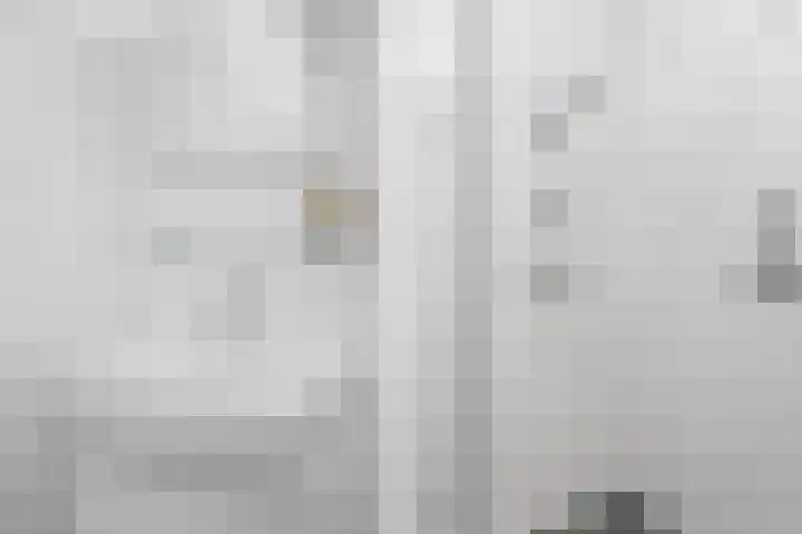 Rookmelderstraat 56 Amsterdam thumbnail 19