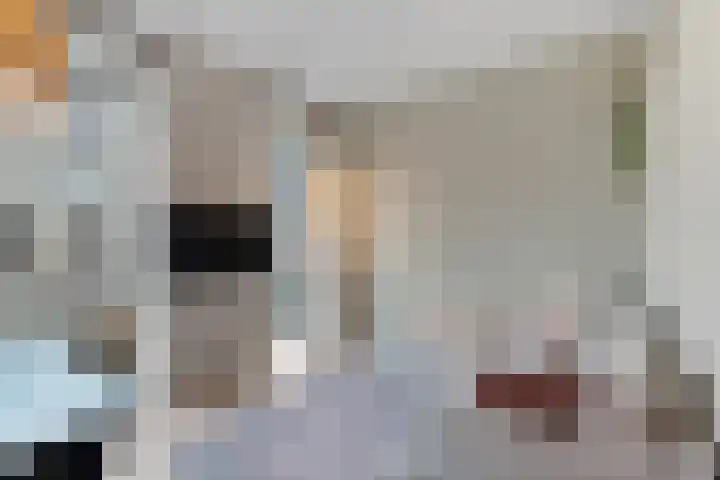 Rookmelderstraat 56 Amsterdam thumbnail 4