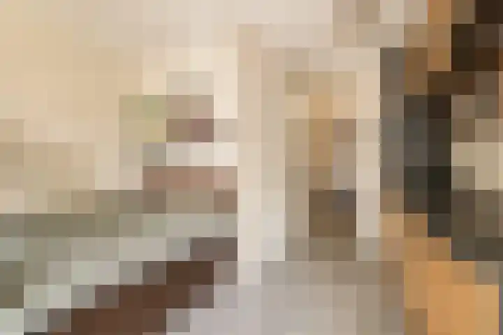 Rookmelderstraat 72 Amsterdam thumbnail 10