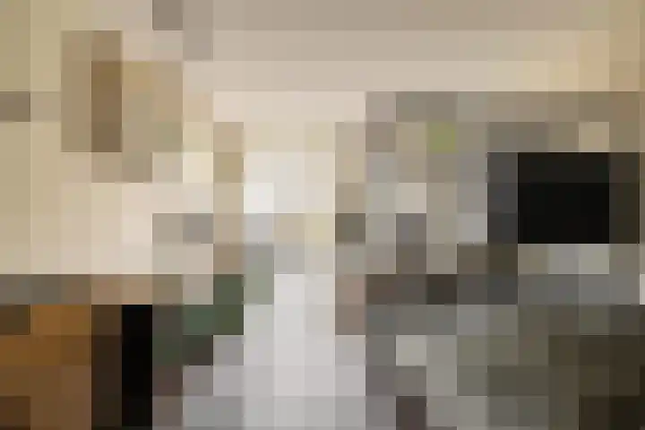 Rookmelderstraat 72 Amsterdam thumbnail 15