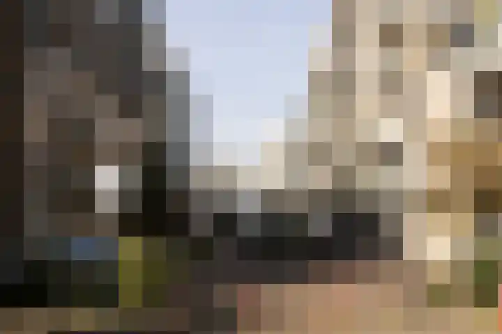 Rookmelderstraat 72 Amsterdam thumbnail 27