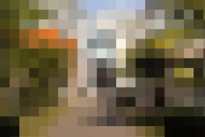 Rookmelderstraat 72 Amsterdam thumbnail 30