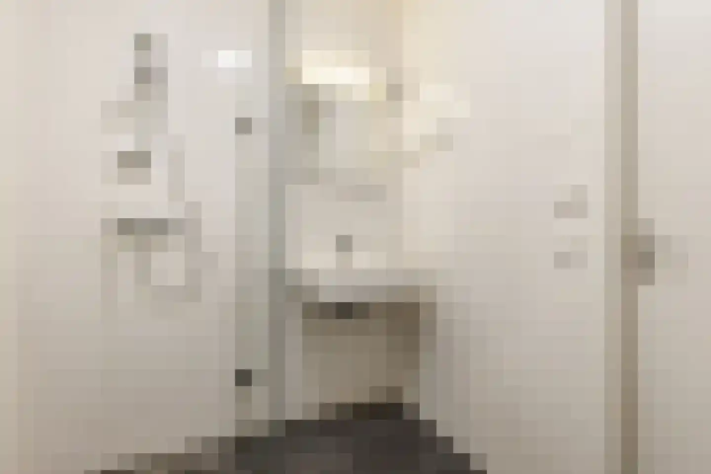 Rookmelderstraat 90 Amsterdam thumbnail 17