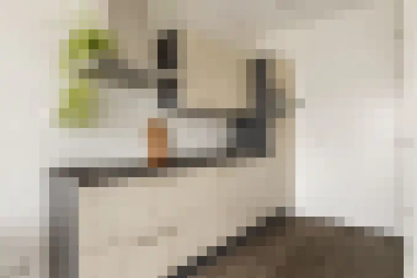 Rookmelderstraat 90 Amsterdam thumbnail 7