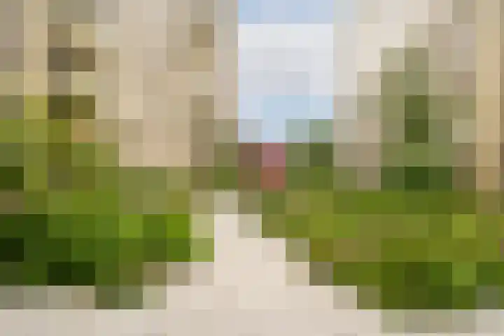 Rookmelderstraat 96 Amsterdam thumbnail 17