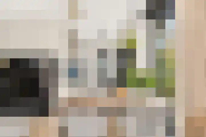 Rookmelderstraat 98 Amsterdam thumbnail 4